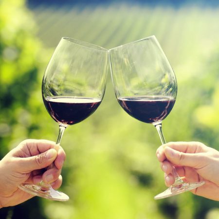 Introduction to wine tours and wineries in Canada